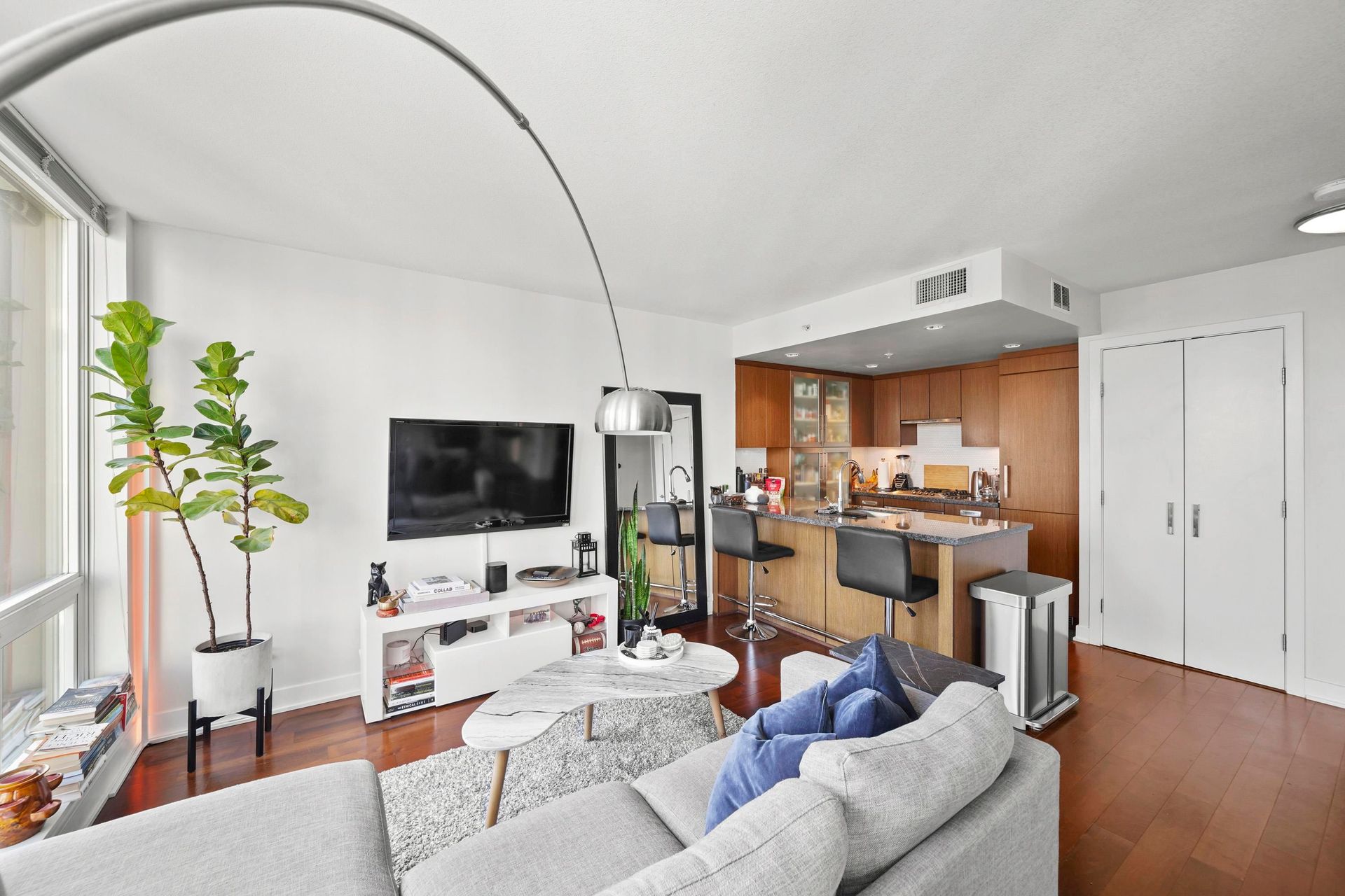 1708 - 1055 Richards Street, Downtown VW, Vancouver West 
