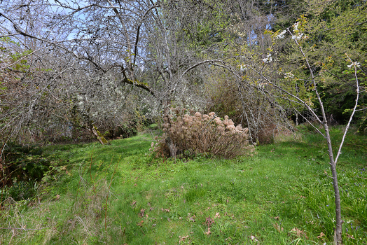 dsc_9783 at 4850 Sunshine Coast Highway, Sechelt District, Sunshine Coast