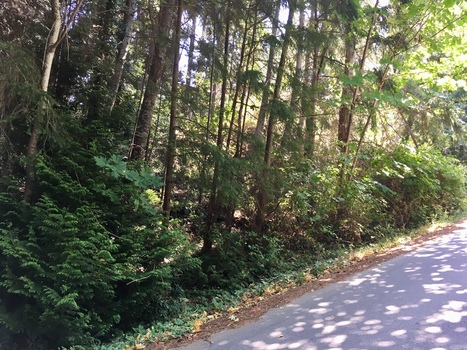 img_6482-2018-07-24-20_49_58 at Lot A Skyline Drive, Gibsons & Area, Sunshine Coast