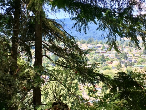 img_6491-2018-07-24-20_49_59 at Lot A Skyline Drive, Gibsons & Area, Sunshine Coast