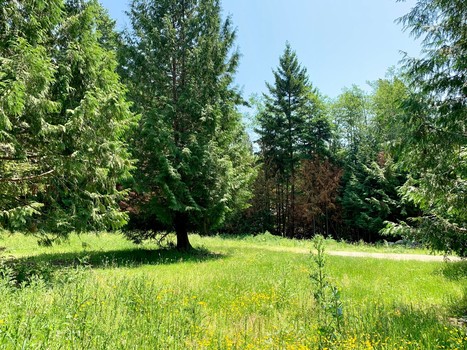 7 at Lot D Wakefield Road, Sechelt District, Sunshine Coast