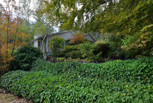 dsc_5479 at 5767 Ebbtide Street, Sechelt District, Sunshine Coast