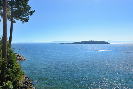 dsc_8598 at 8369 Redrooffs Road, Halfmn Bay Secret Cv Redroofs, Sunshine Coast