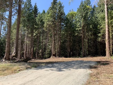 f808a228-60e7-4e30-bf32-627b80770601 at LOT 11 Largo Road, Roberts Creek, Sunshine Coast