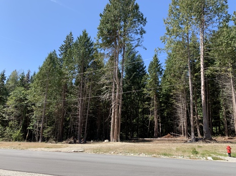 78491e8c-f38e-4949-ac6b-5eab7717edc3 at LOT 12 Largo Road, Roberts Creek, Sunshine Coast