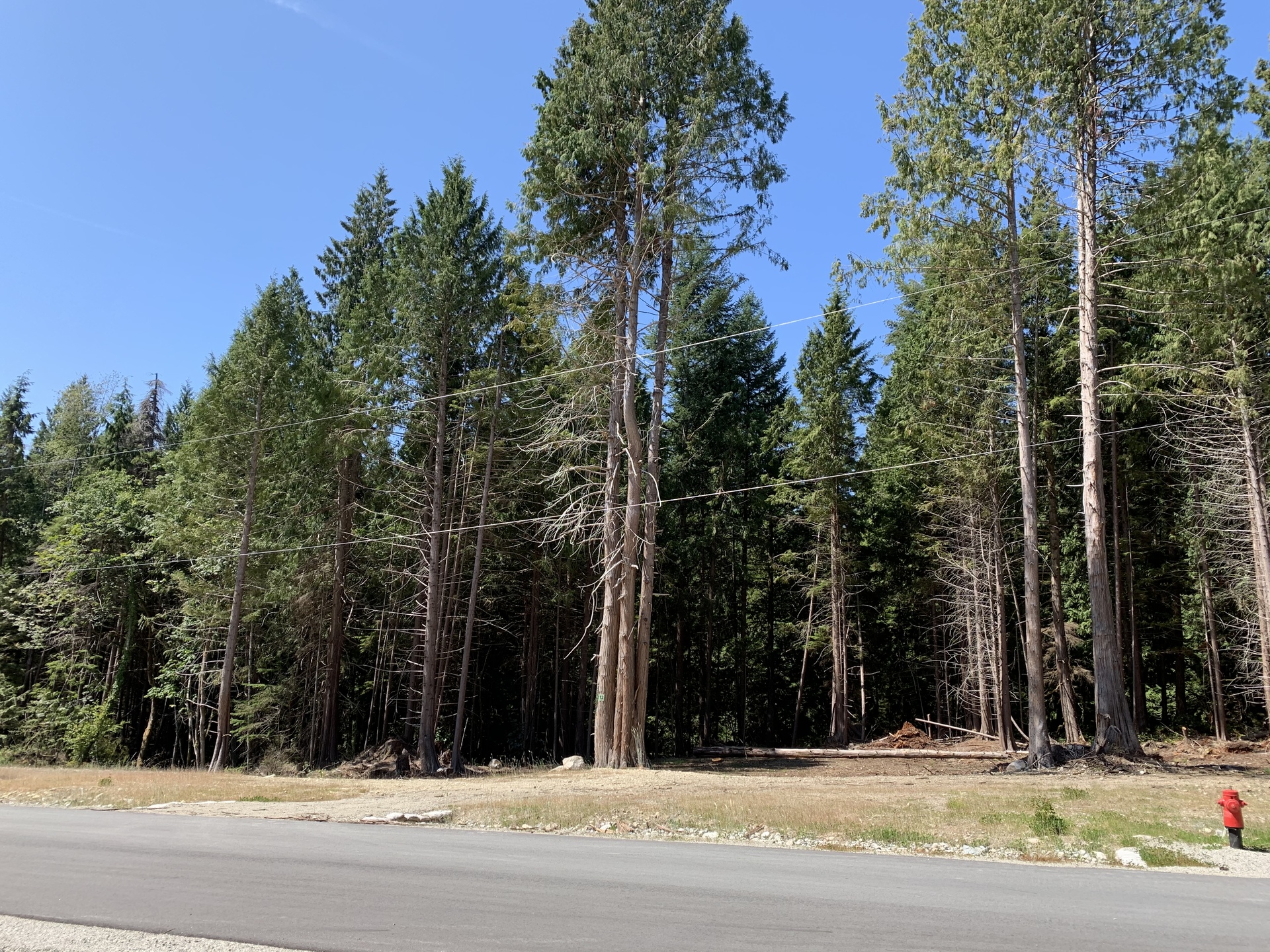 LOT 12 Largo Road, Roberts Creek, Sunshine Coast  by Ali Khan - Sunshine Coast Real Estate LOT 12 Largo Road, Roberts Creek, Sunshine Coast