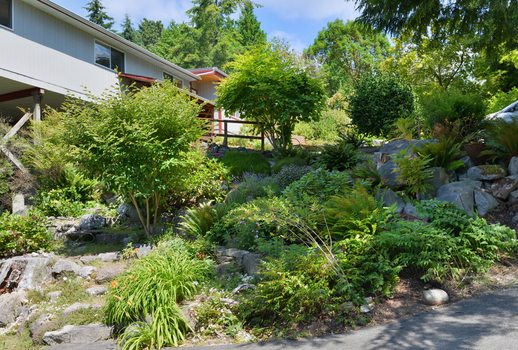 dsc_5186 at 1062 Blackburn Road, Roberts Creek, Sunshine Coast