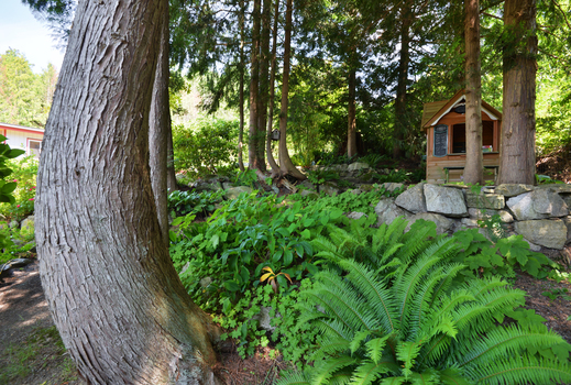 dsc_5189 at 1062 Blackburn Road, Roberts Creek, Sunshine Coast