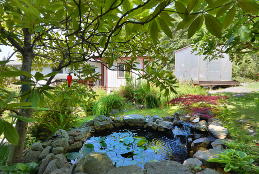 dsc_5192 at 1062 Blackburn Road, Roberts Creek, Sunshine Coast