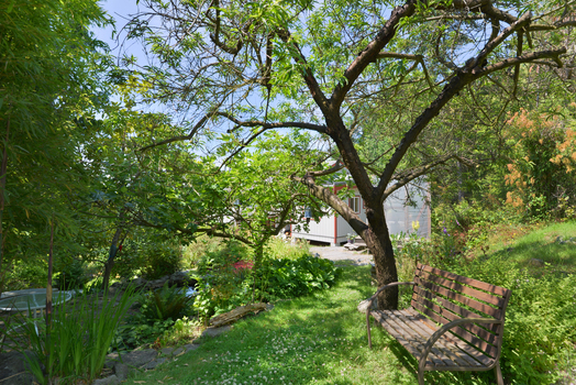 dsc_5194 at 1062 Blackburn Road, Roberts Creek, Sunshine Coast