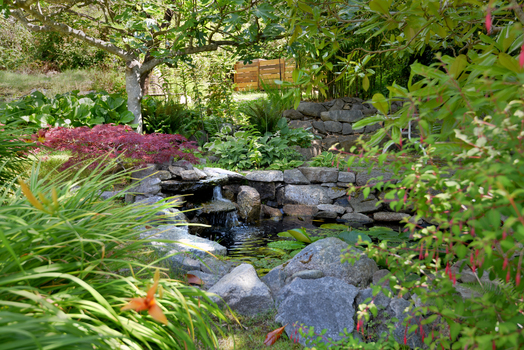 dsc_5195 at 1062 Blackburn Road, Roberts Creek, Sunshine Coast