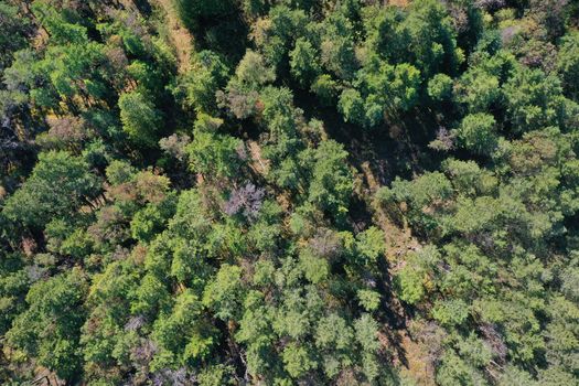 dji_0295 at Lot A Sunshine Coast Highway, Halfmn Bay Secret Cv Redroofs, Sunshine Coast