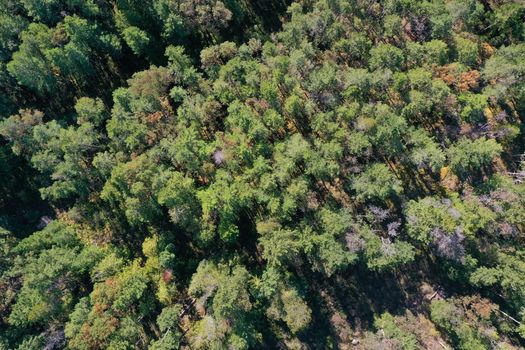 dji_0296 at Lot A Sunshine Coast Highway, Halfmn Bay Secret Cv Redroofs, Sunshine Coast