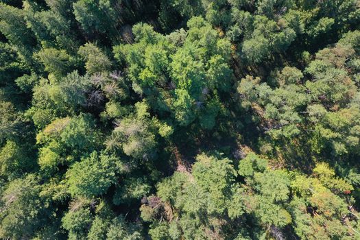 dji_0297 at Lot A Sunshine Coast Highway, Halfmn Bay Secret Cv Redroofs, Sunshine Coast