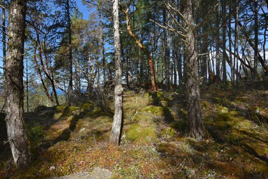 mar_8933 at Lot A Sunshine Coast Highway, Halfmn Bay Secret Cv Redroofs, Sunshine Coast