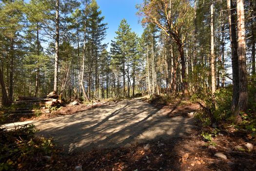 mar_8939 at Lot A Sunshine Coast Highway, Halfmn Bay Secret Cv Redroofs, Sunshine Coast