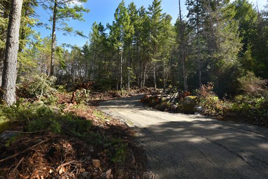 mar_8954 at Lot A Sunshine Coast Highway, Halfmn Bay Secret Cv Redroofs, Sunshine Coast