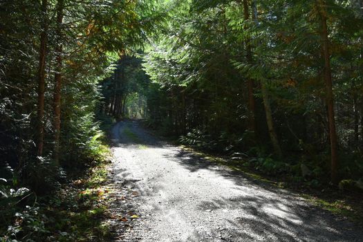 mar_8970 at Lot A Sunshine Coast Highway, Halfmn Bay Secret Cv Redroofs, Sunshine Coast