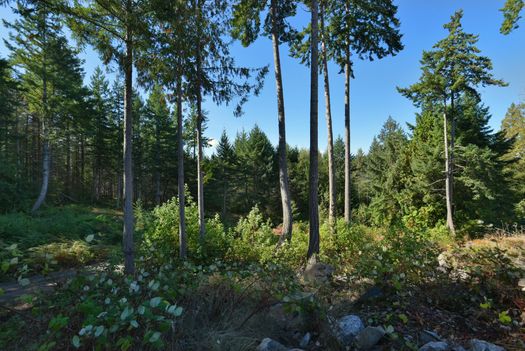 mar_8981 at Lot A Sunshine Coast Highway, Halfmn Bay Secret Cv Redroofs, Sunshine Coast