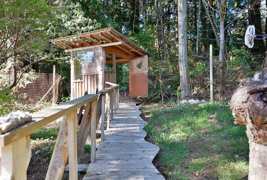 dsc_5879 at 925 Byng Road, Roberts Creek, Sunshine Coast