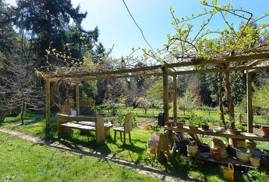 dsc_6650 at 833 Byng Road, Roberts Creek, Sunshine Coast