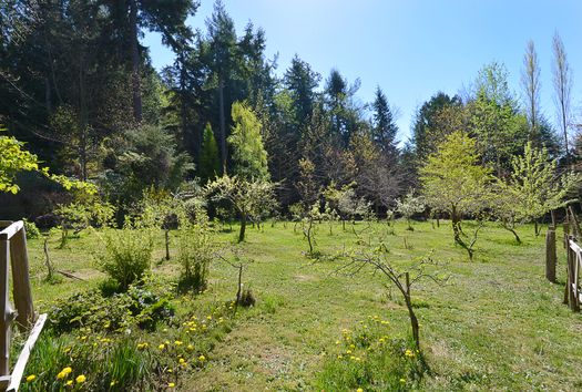 dsc_6654 at 833 Byng Road, Roberts Creek, Sunshine Coast