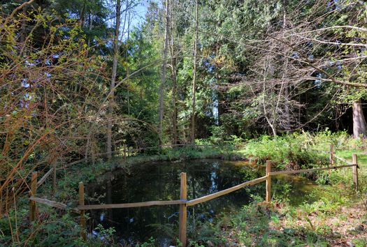 dsc_6662 at 833 Byng Road, Roberts Creek, Sunshine Coast