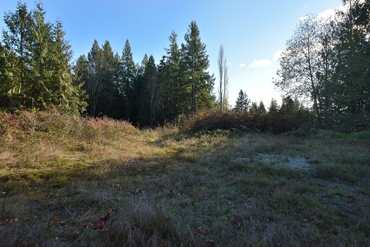 mar_1877 at 2820 Sunshine Coast Highway, Roberts Creek, Sunshine Coast