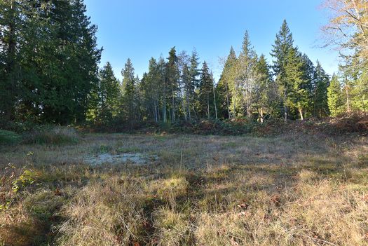 mar_1880 at 2820 Sunshine Coast Highway, Roberts Creek, Sunshine Coast