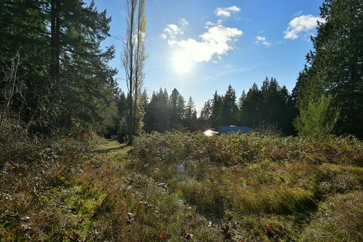 mar_1883 at 2820 Sunshine Coast Highway, Roberts Creek, Sunshine Coast