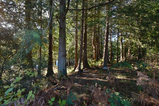 mar_1886 at 2820 Sunshine Coast Highway, Roberts Creek, Sunshine Coast