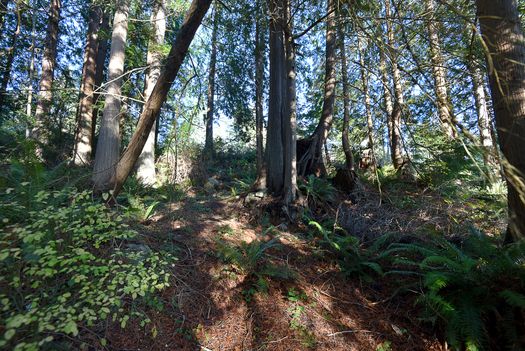 mar_1888 at 2820 Sunshine Coast Highway, Roberts Creek, Sunshine Coast