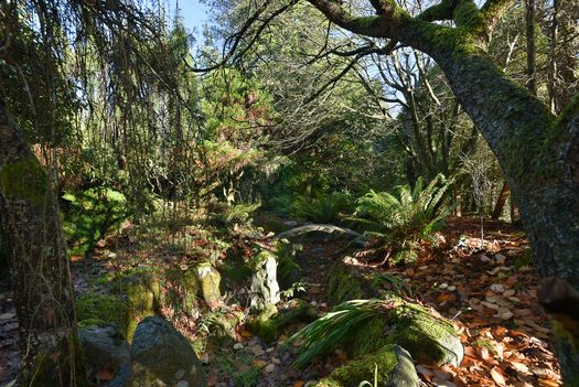 mar_1891 at 2820 Sunshine Coast Highway, Roberts Creek, Sunshine Coast