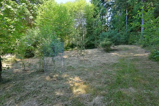 mar_5003 at 2155 Porter Road, Roberts Creek, Sunshine Coast