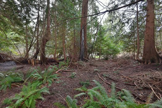 mar_6146 at 7792 Fawn Road, Halfmn Bay Secret Cv Redroofs, Sunshine Coast