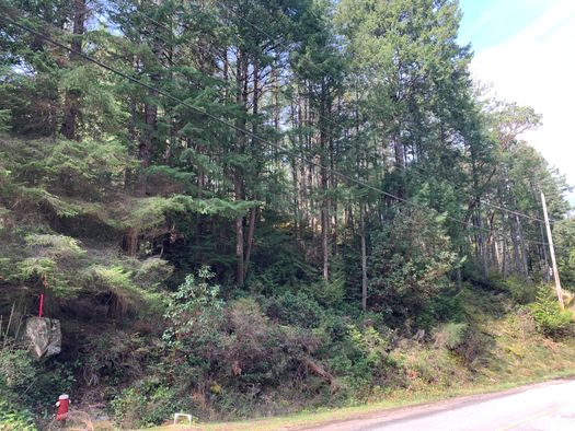 img_1957 at LOT 28 Wescan Road, Halfmn Bay Secret Cv Redroofs, Sunshine Coast