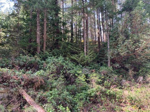 img_1958 at LOT 28 Wescan Road, Halfmn Bay Secret Cv Redroofs, Sunshine Coast