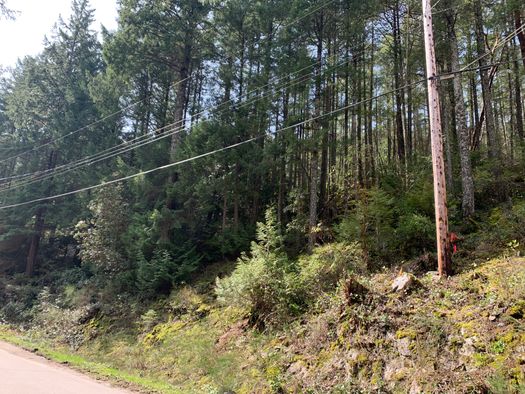 img_1959 at LOT 28 Wescan Road, Halfmn Bay Secret Cv Redroofs, Sunshine Coast