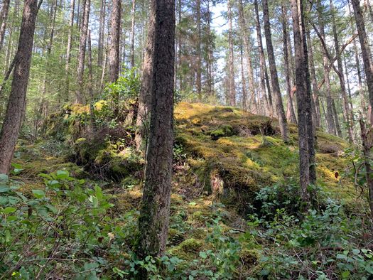 img_1962 at LOT 28 Wescan Road, Halfmn Bay Secret Cv Redroofs, Sunshine Coast