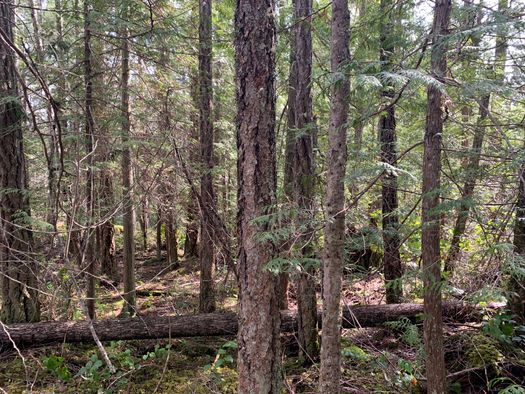 img_1965 at LOT 28 Wescan Road, Halfmn Bay Secret Cv Redroofs, Sunshine Coast