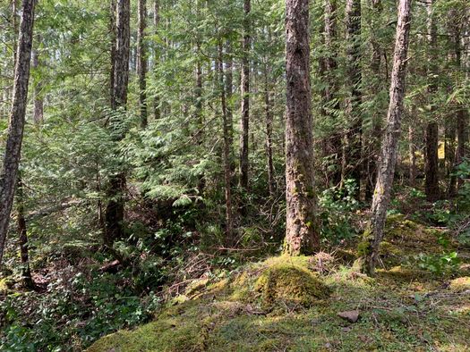 img_1968 at LOT 28 Wescan Road, Halfmn Bay Secret Cv Redroofs, Sunshine Coast