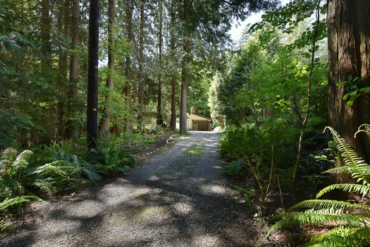 mar_0141 at 1543 Park Avenue, Roberts Creek, Sunshine Coast