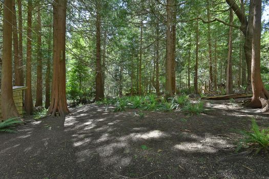 mar_0210 at 1543 Park Avenue, Roberts Creek, Sunshine Coast