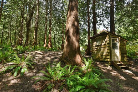 mar_0211 at 1543 Park Avenue, Roberts Creek, Sunshine Coast