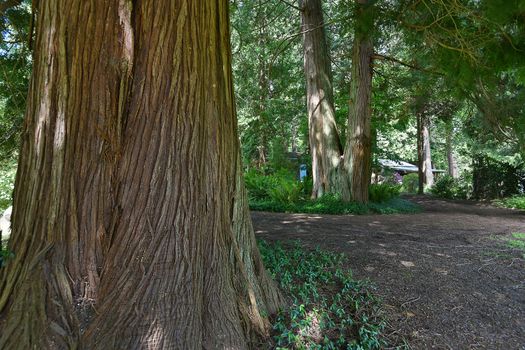 mar_1446 at 1045 Grandview Road, Gibsons & Area, Sunshine Coast