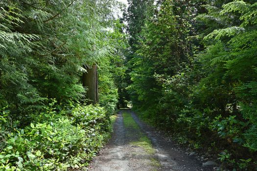 mar_1458 at 1045 Grandview Road, Gibsons & Area, Sunshine Coast