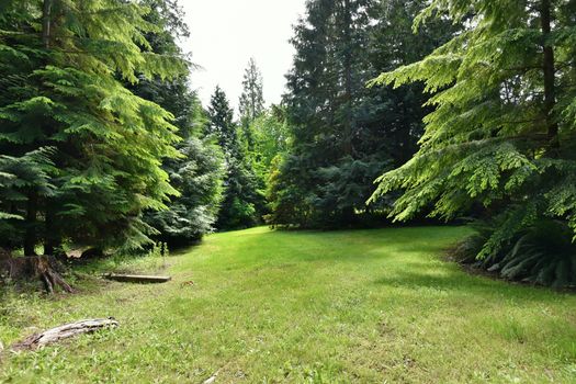 mar_1460 at 1045 Grandview Road, Gibsons & Area, Sunshine Coast