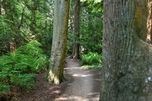 mar_1747 at 4598 Whitaker Road, Sechelt District, Sunshine Coast