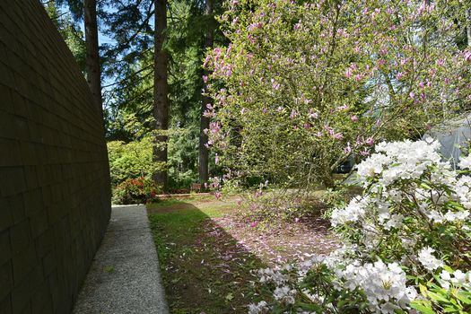 mar_9928 at 5963 Skookumchuk Road, Sechelt District, Sunshine Coast