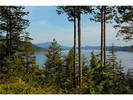 image-259565757-2.jpg at LOT 11 -   Road, Gibsons & Area, Sunshine Coast
